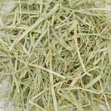 『牧草の粉が少ない』 USプレミアムチモシー1番刈り ダブルプレス アイダホ州【紫F】 500g×1袋 (ロットNo.紫F-0001) 【愛うさぎのコースタープレゼント対象商品】 【返品区分A】の画像