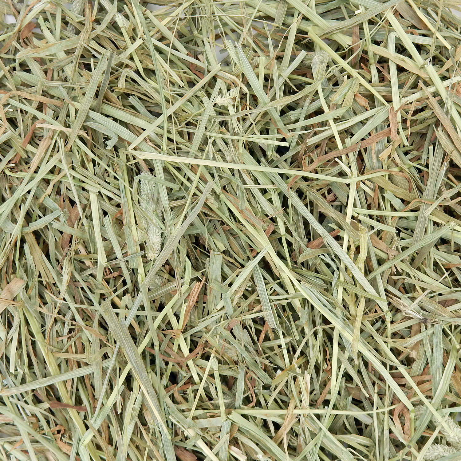 『牧草の粉が少ない』 USプレミアムチモシー2番刈り ダブルプレス ワシントン州【水色G】 500g×1袋 (ロットNo.水色G-0001) 【愛うさぎのコースタープレゼント対象商品】【返品区分A】の画像