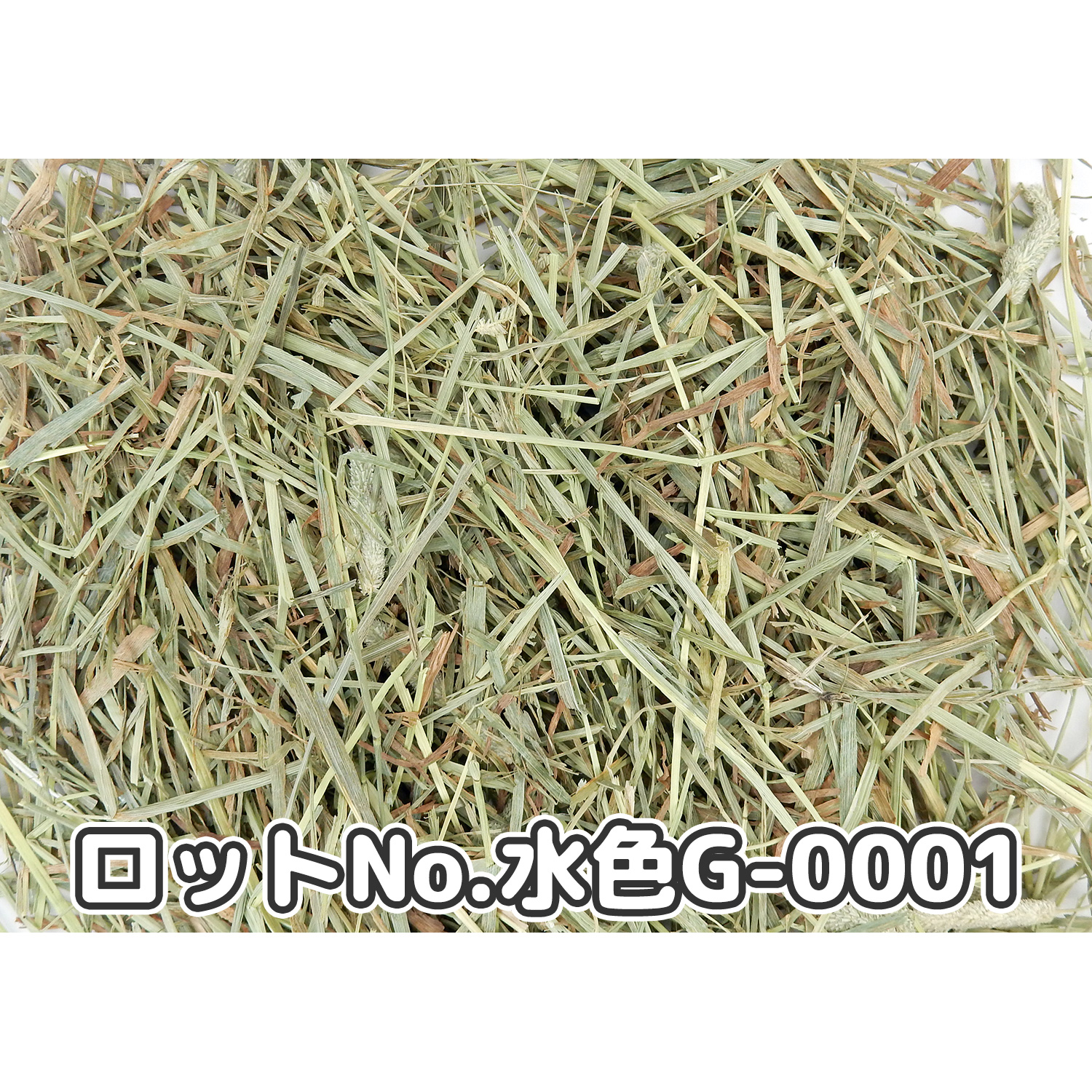 『牧草の粉が少ない』 USプレミアムチモシー2番刈り ダブルプレス ワシントン州【水色G】 500g×1袋 (ロットNo.水色G-0001) 【愛うさぎのコースタープレゼント対象商品】【返品区分A】の画像