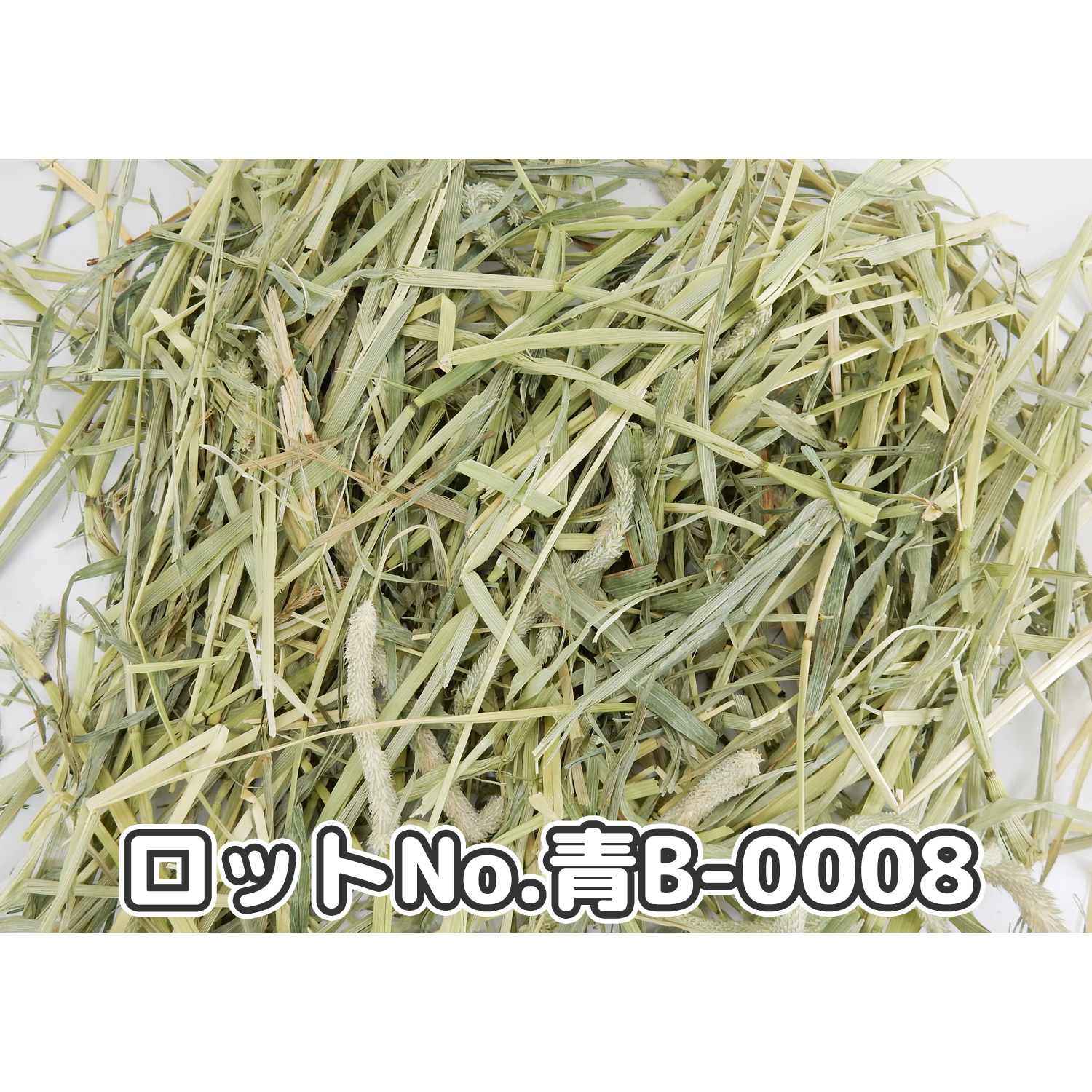 孫山堂　特選プレミアムチモシー　USワシントン州　1番刈り　30kg 孫山堂 特選チモシー USワシントン州 1番刈り 20kg