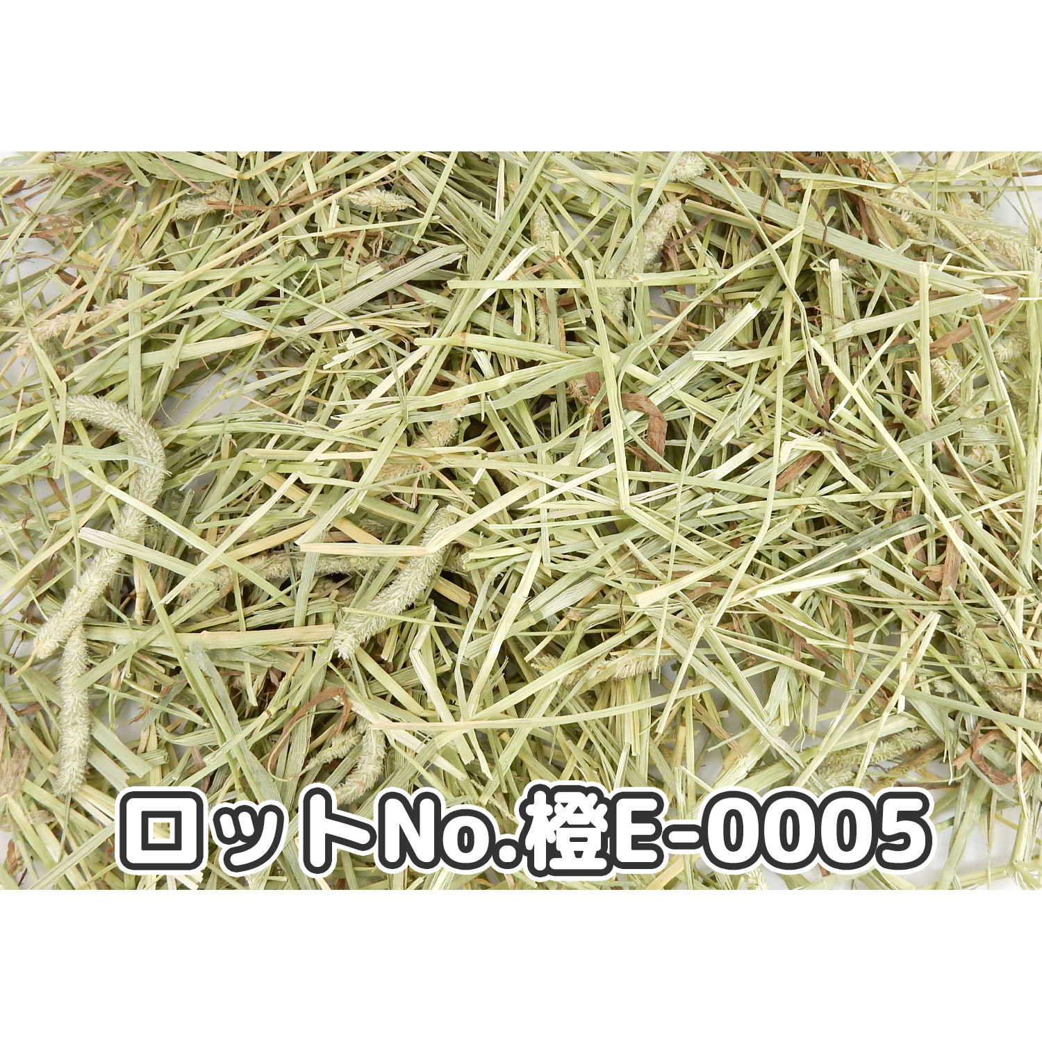 『牧草の粉が少ない』 CAプレミアムチモシー1番刈り ダブルプレス カナダ産【橙E】 500g×1袋 (ロットNo.橙E-0005) 【返品区分A】の画像