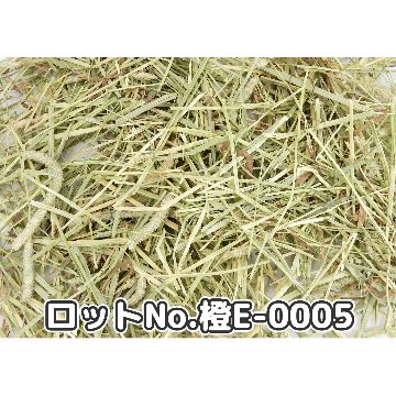 『牧草の粉が少ない』 CAプレミアムチモシー1番刈り ダブルプレス カナダ産【橙E】 500g×1袋 (ロットNo.橙E-0005) 【返品区分A】の画像