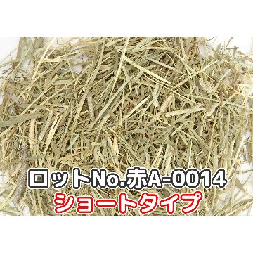 『牧草の粉が少ない』 【ショートタイプ】厳選スーパープレミアムチモシー1番刈り シングルプレス 【赤A】 500g (ロットNo.指定可能) 【返品区分A】の画像