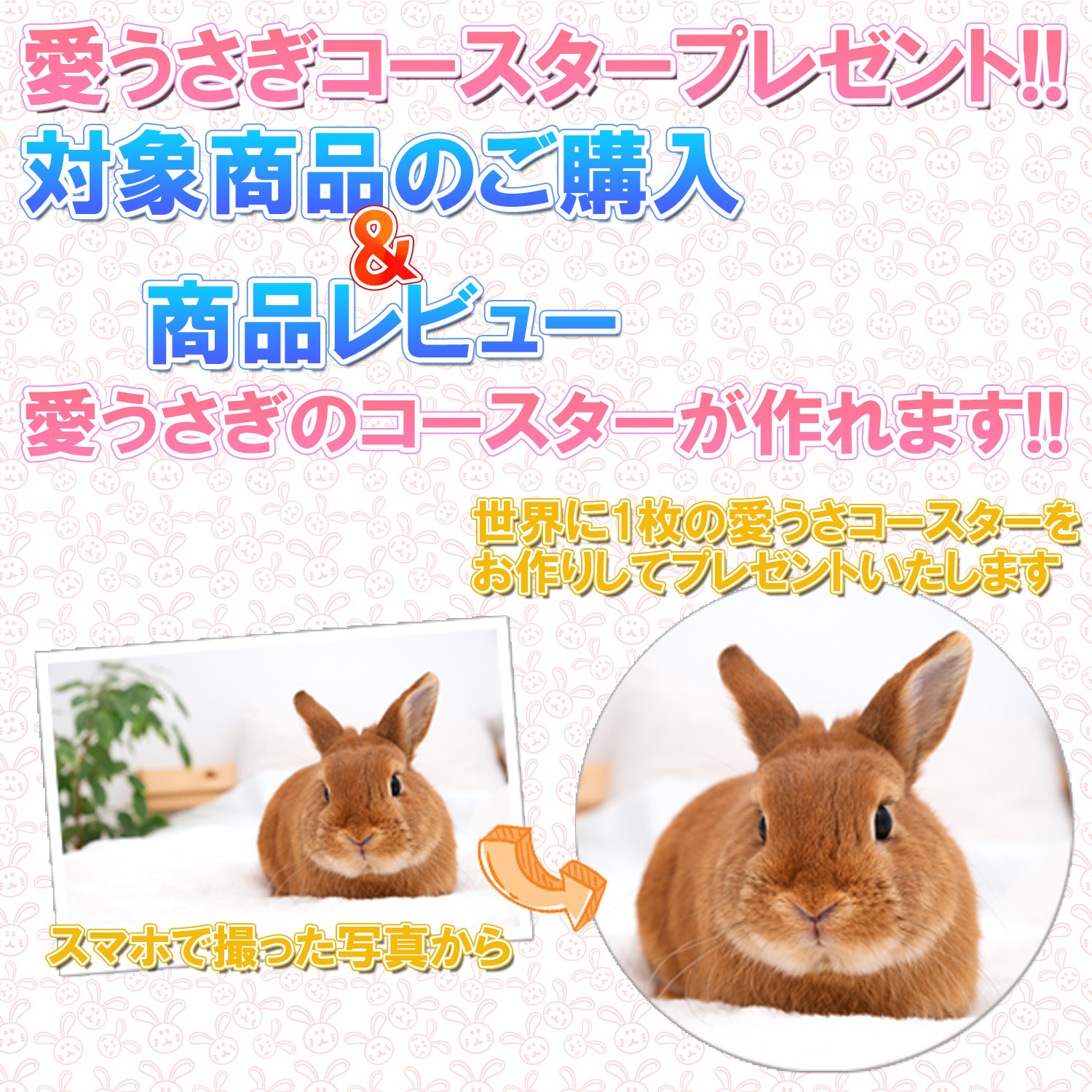 愛うさぎコースタープレゼントの画像