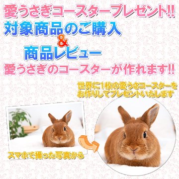 愛うさぎコースタープレゼントの画像