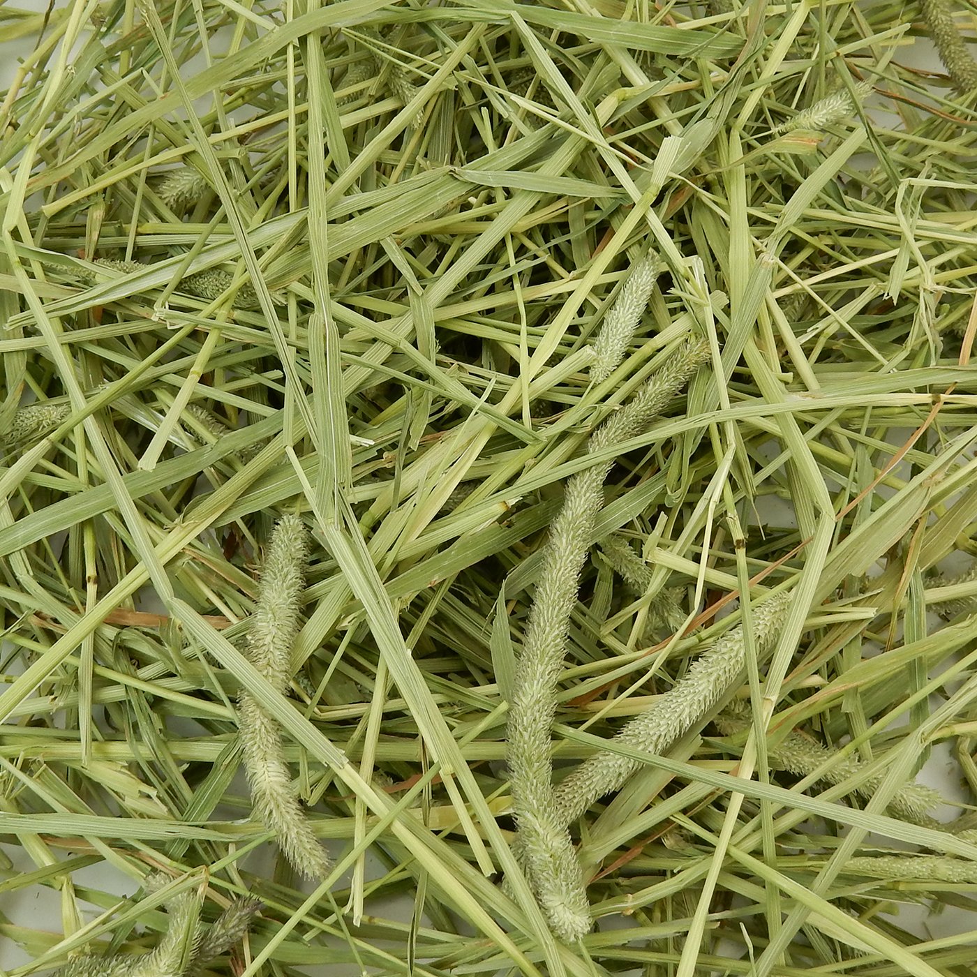 『牧草の粉が少ない』 厳選スーパープレミアムチモシー1番刈り シングルプレス 【赤A】 2,000g(500g×4袋セット) (ロットNo.赤A-0005) 【返品区分A】の画像
