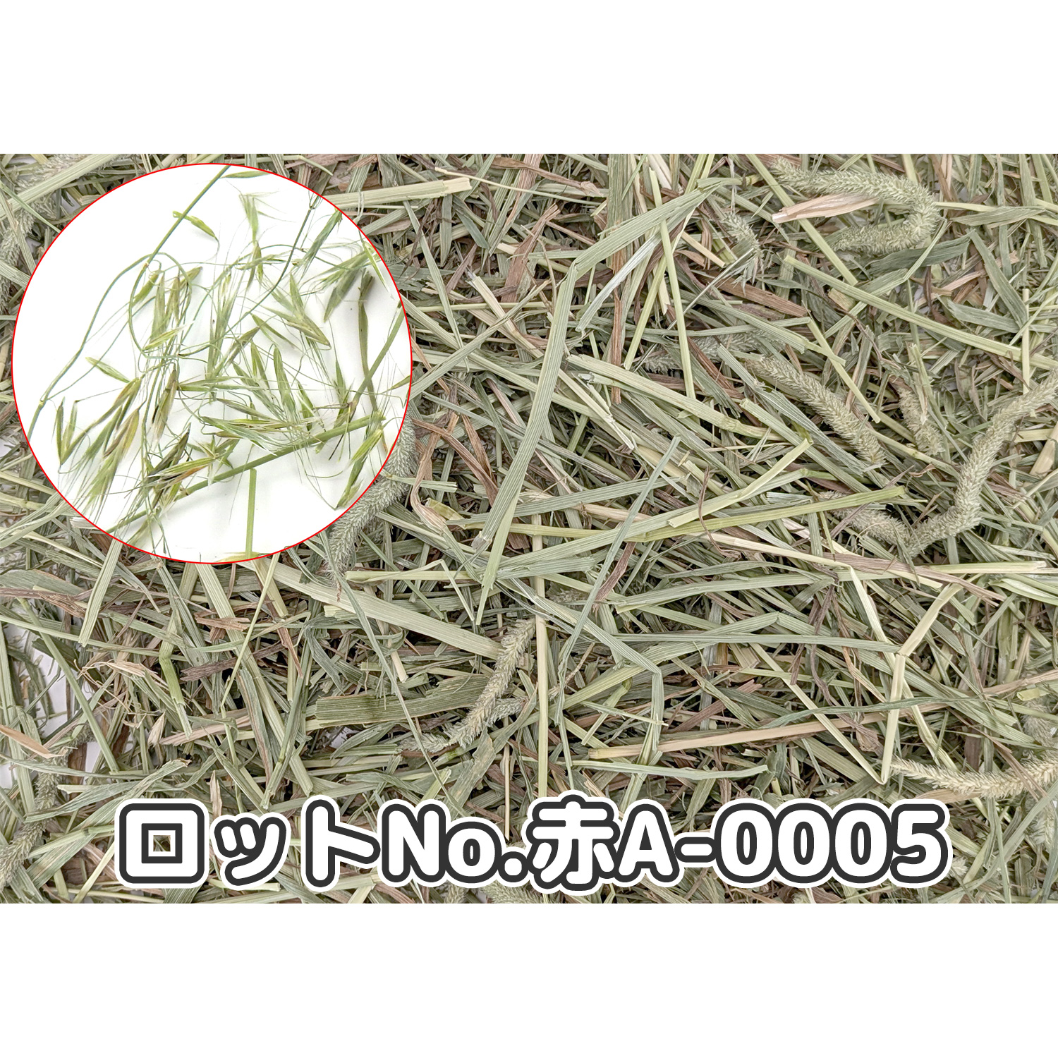 『牧草の粉が少ない』 厳選スーパープレミアムチモシー1番刈り シングルプレス 【赤A】 2,000g(500g×4袋セット) (ロットNo.赤A-0005) 【返品区分A】の画像