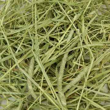 『牧草の粉が少ない』 厳選スーパープレミアムチモシー1番刈り シングルプレス 【赤A】 2,000g(500g×4袋セット) (ロットNo.赤A-0005) 【返品区分A】の画像