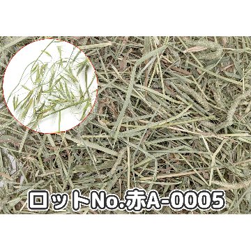 『牧草の粉が少ない』 厳選スーパープレミアムチモシー1番刈り シングルプレス 【赤A】 2,000g(500g×4袋セット) (ロットNo.赤A-0005) 【返品区分A】の画像