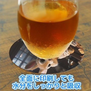 オーナーズアイテム 紙コースター 【返品区分C】 の画像