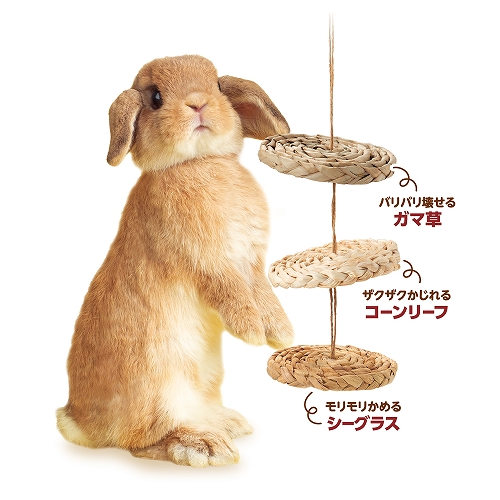 マルカン バラエティディスク 【返品区分B】 の画像