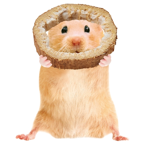 マルカン ひまわりスライス 【返品区分B】 の画像