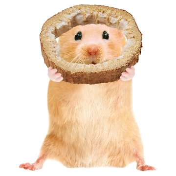 マルカン ひまわりスライス 【返品区分B】 の画像