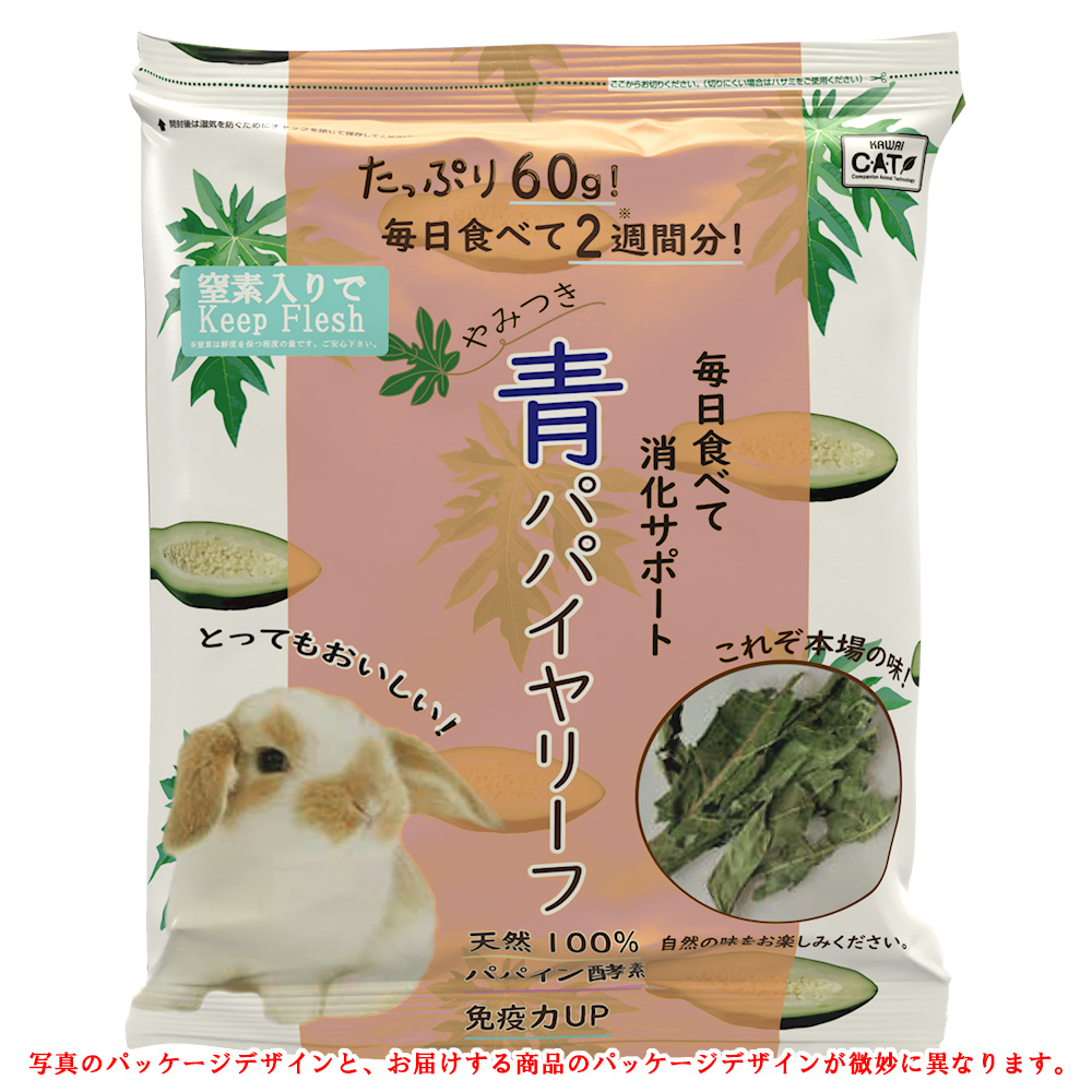 川井  青パパイヤリーフ 【返品区分A】 の画像