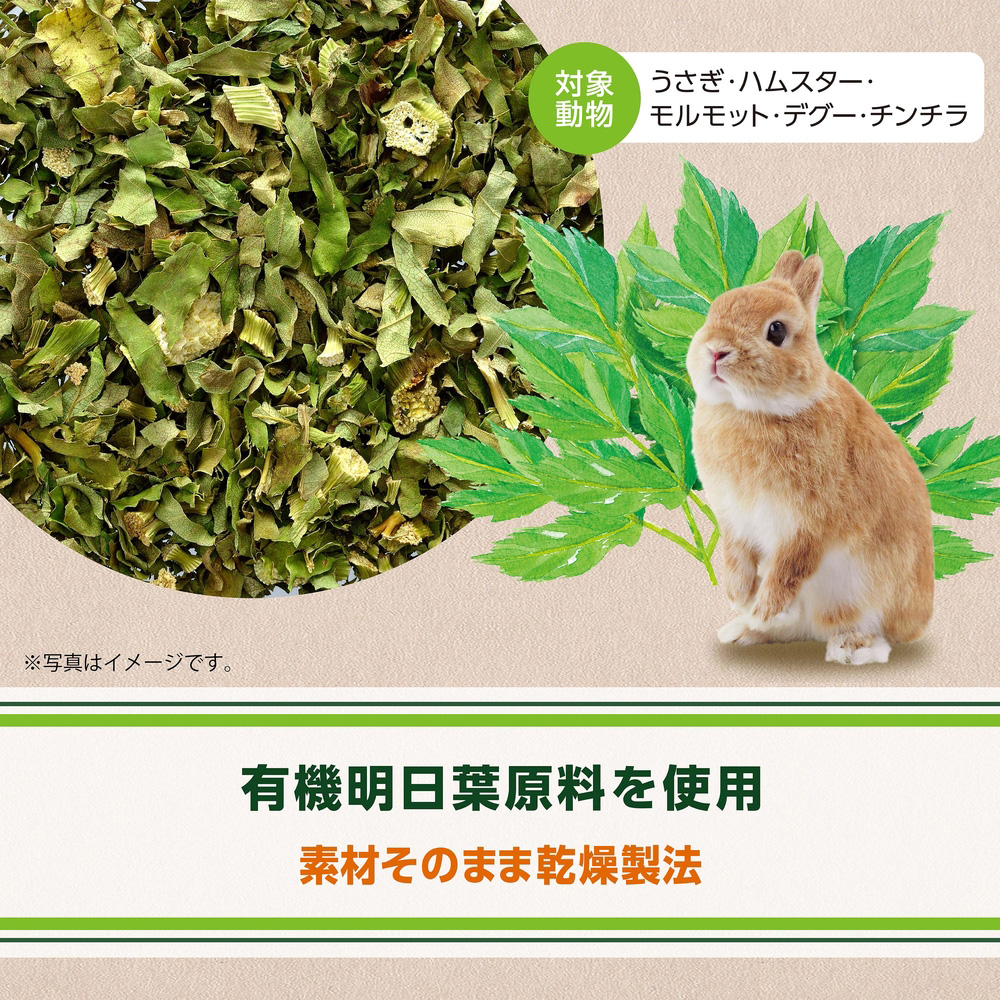 ジェックス ヘルシーレシピ 明日葉ぱりむしゃ 【返品区分A】 の画像