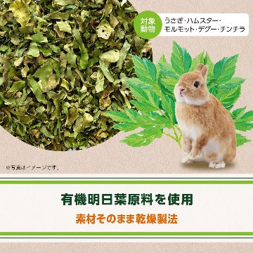 ジェックス ヘルシーレシピ 明日葉ぱりむしゃ 【返品区分A】 の画像