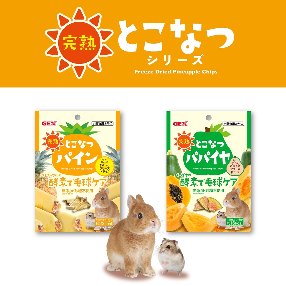 ジェックス 完熟とこなつパイン 【商品区分A】の画像