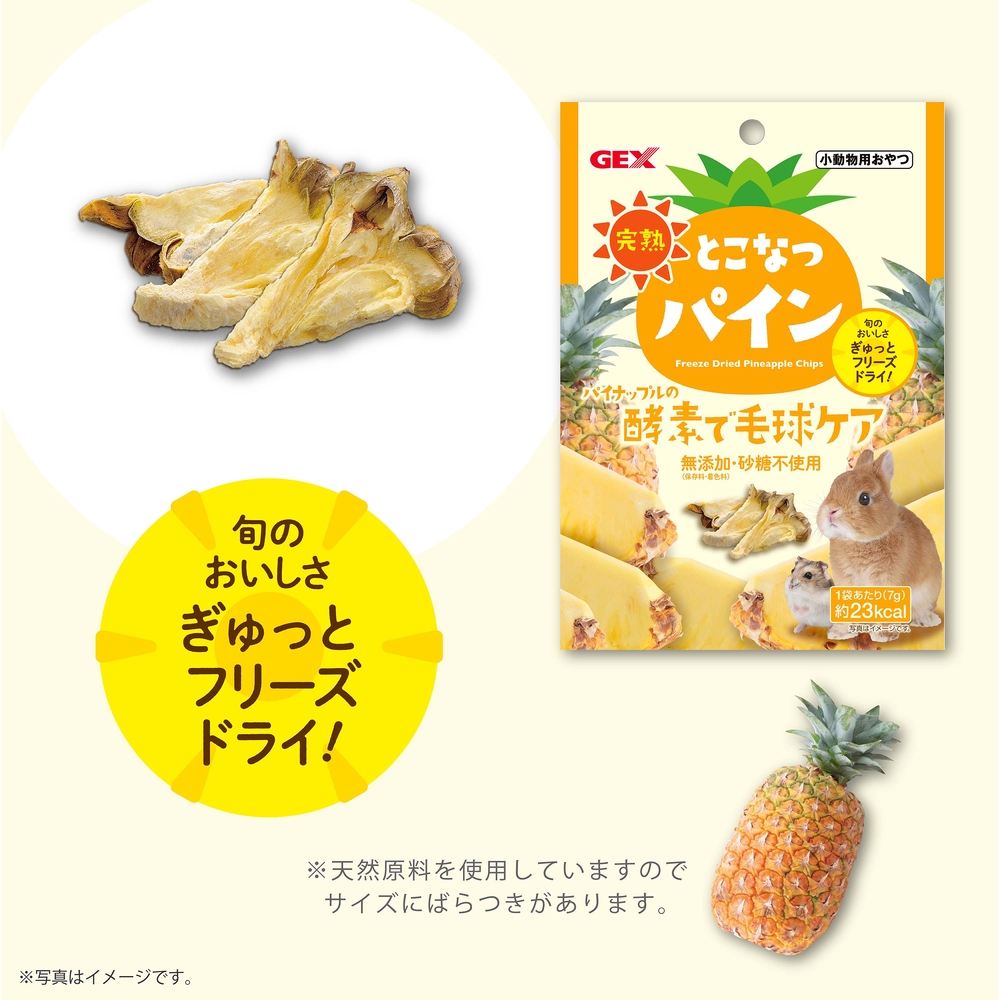 ジェックス 完熟とこなつパイン 【商品区分A】の画像