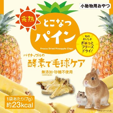 ジェックス 完熟とこなつパイン 【商品区分A】の画像