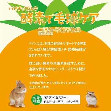 ジェックス 完熟とこなつパイン 【商品区分A】の画像