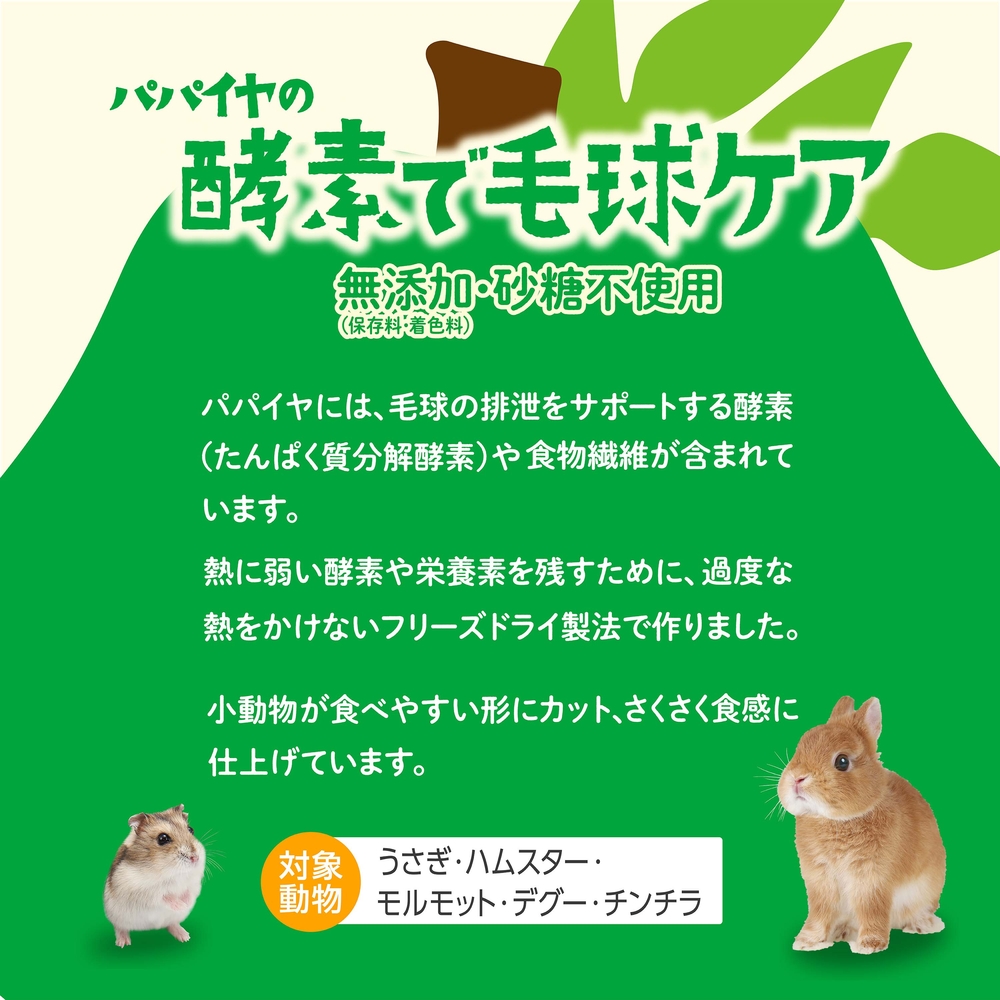 ジェックス 完熟とこなつパパイヤ【商品区分A】の画像