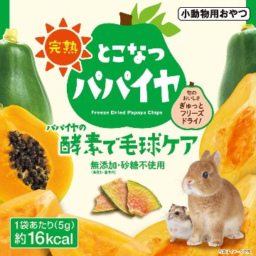 ジェックス 完熟とこなつパパイヤ【商品区分A】の画像
