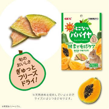 ジェックス 完熟とこなつパパイヤ【商品区分A】の画像