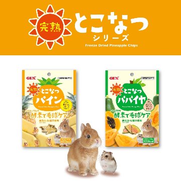 ジェックス 完熟とこなつパパイヤ【商品区分A】の画像