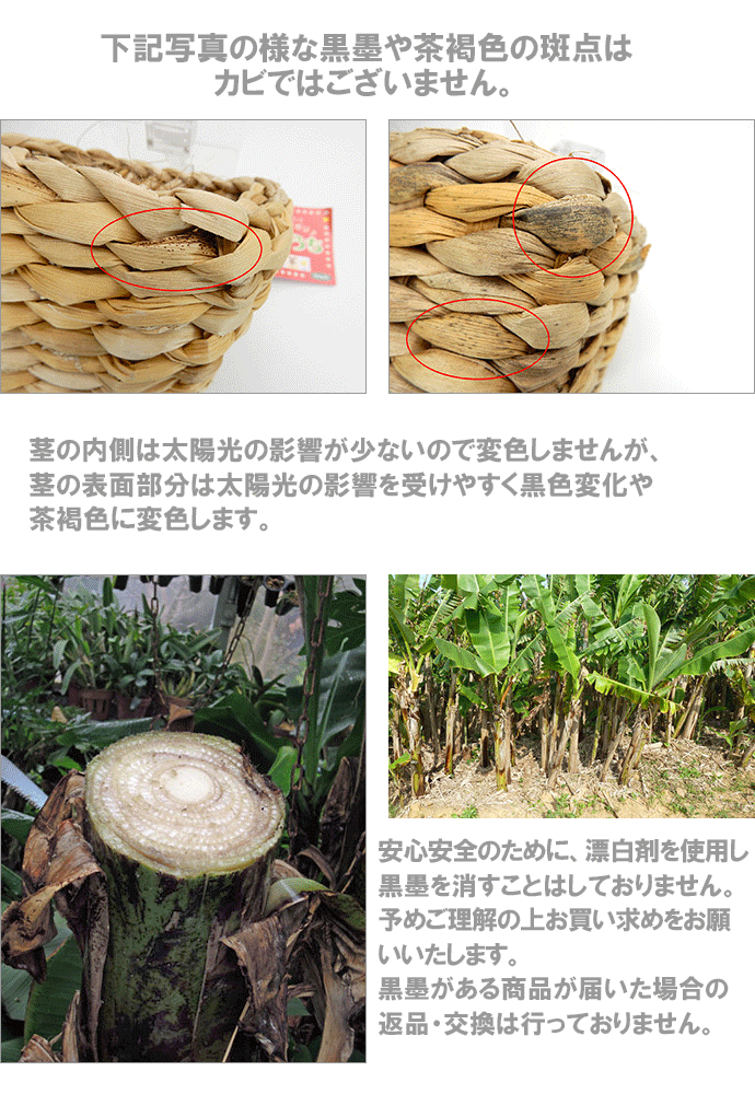 川井バナナdeシリーズの黒墨や茶褐色の斑点はカビではございません。