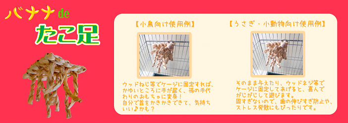 川井 バナナdeたこ足の特徴