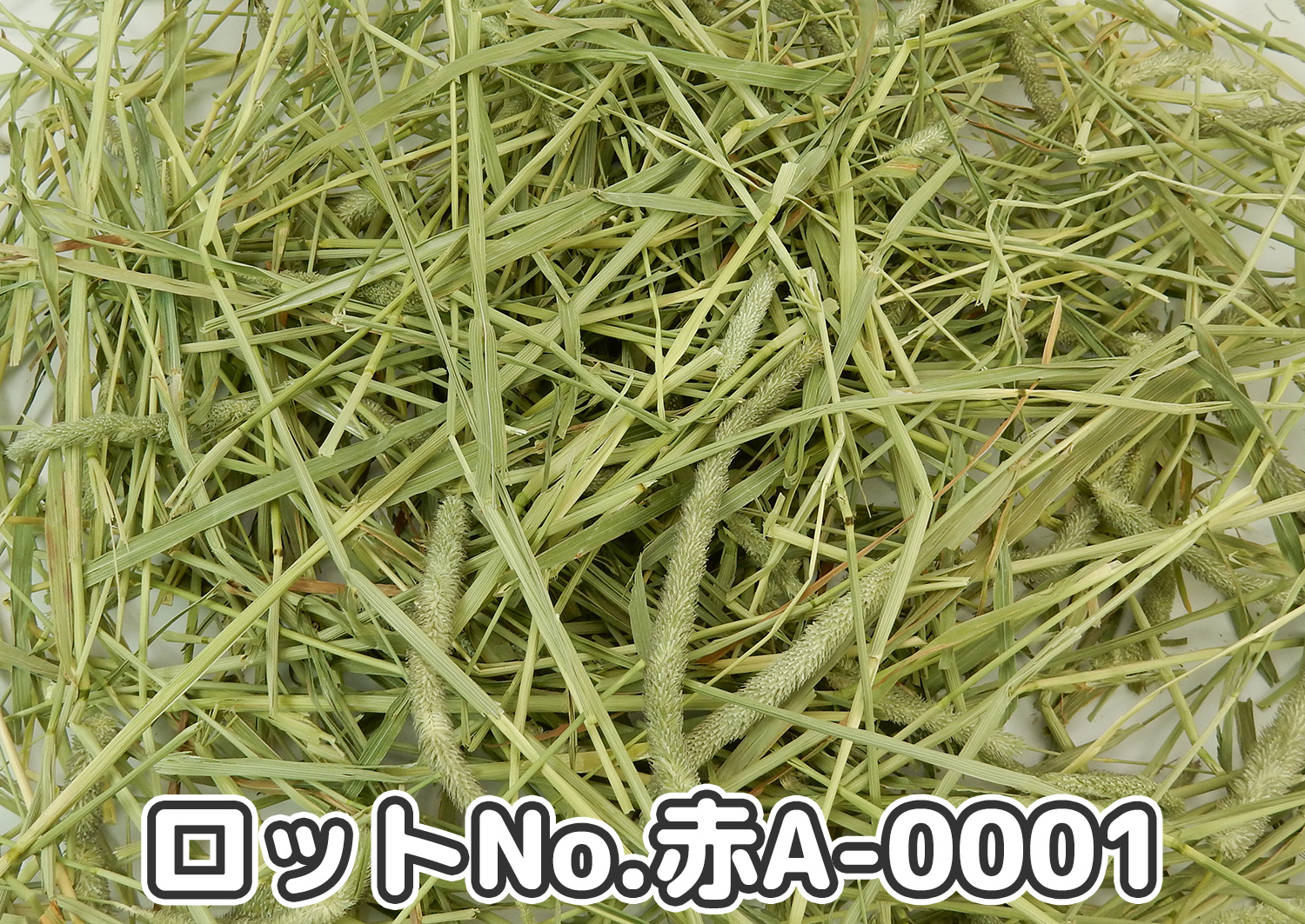 厳選スーパープレミアムチモシー1番刈り【赤A】ロットNo.A-0001の牧草状態