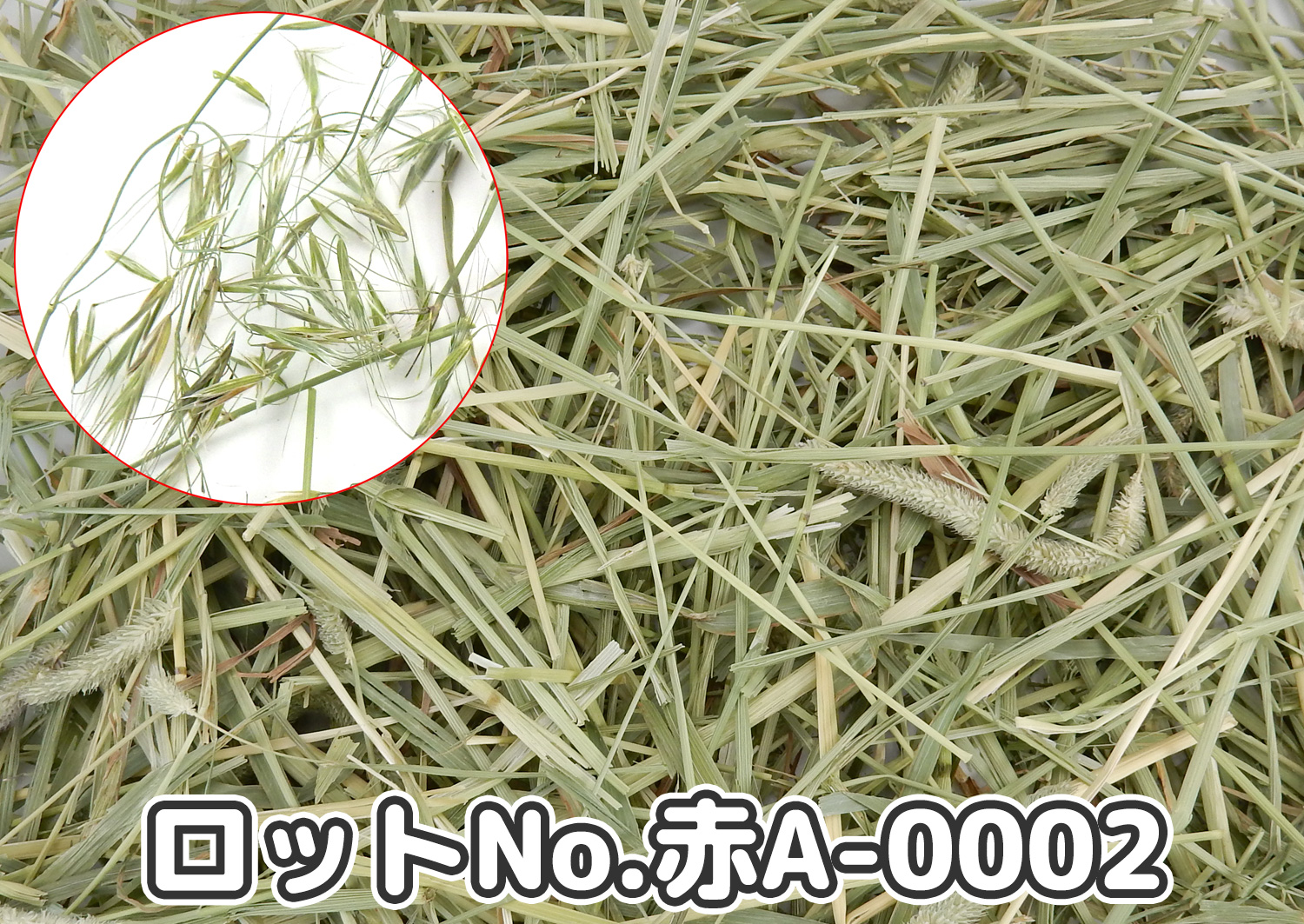 厳選スーパープレミアムチモシー1番刈り【赤A】ロットNo.赤A-0002の牧草状態