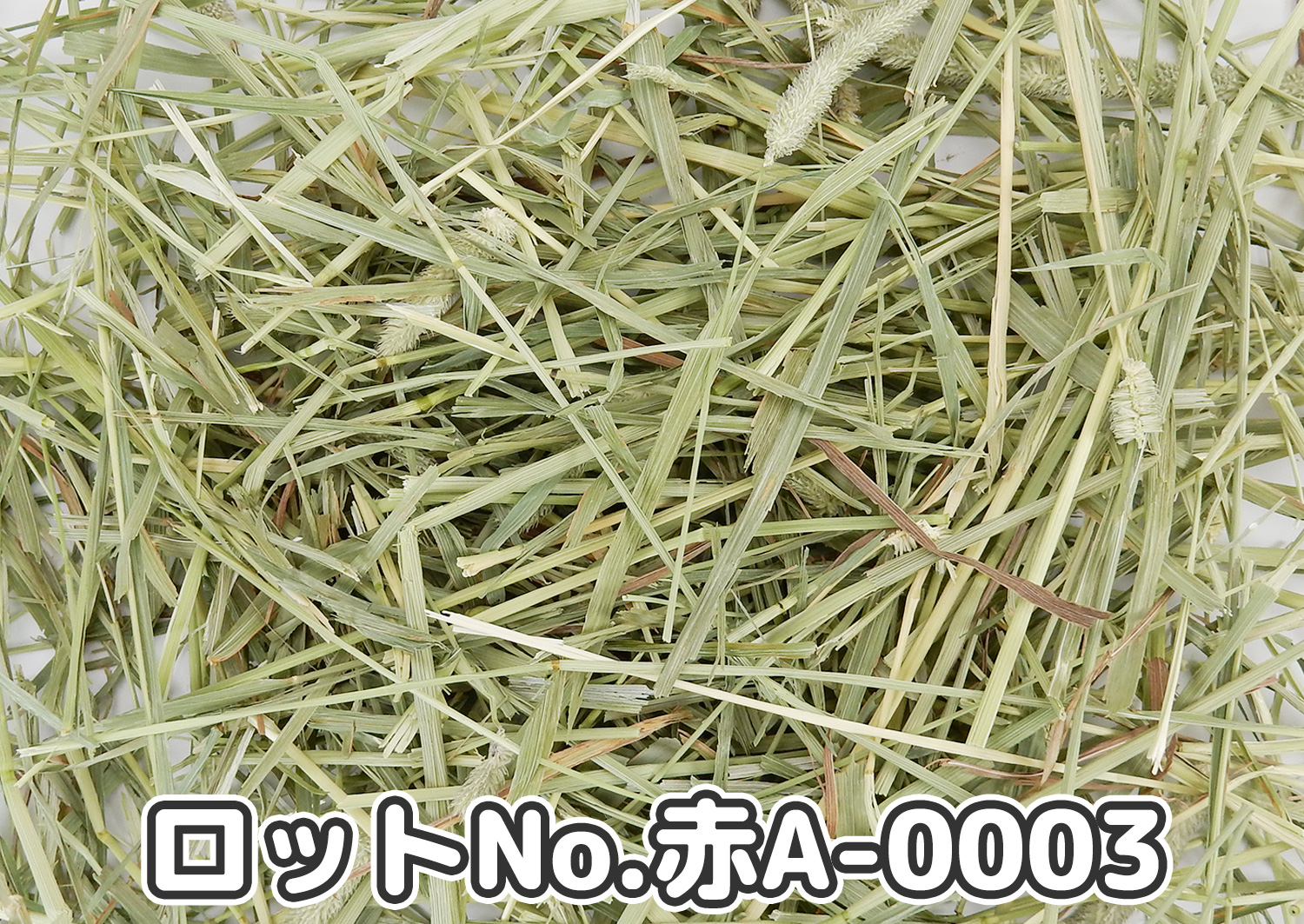 厳選スーパープレミアムチモシー1番刈り【赤A】ロットNo.赤A-0003の牧草状態