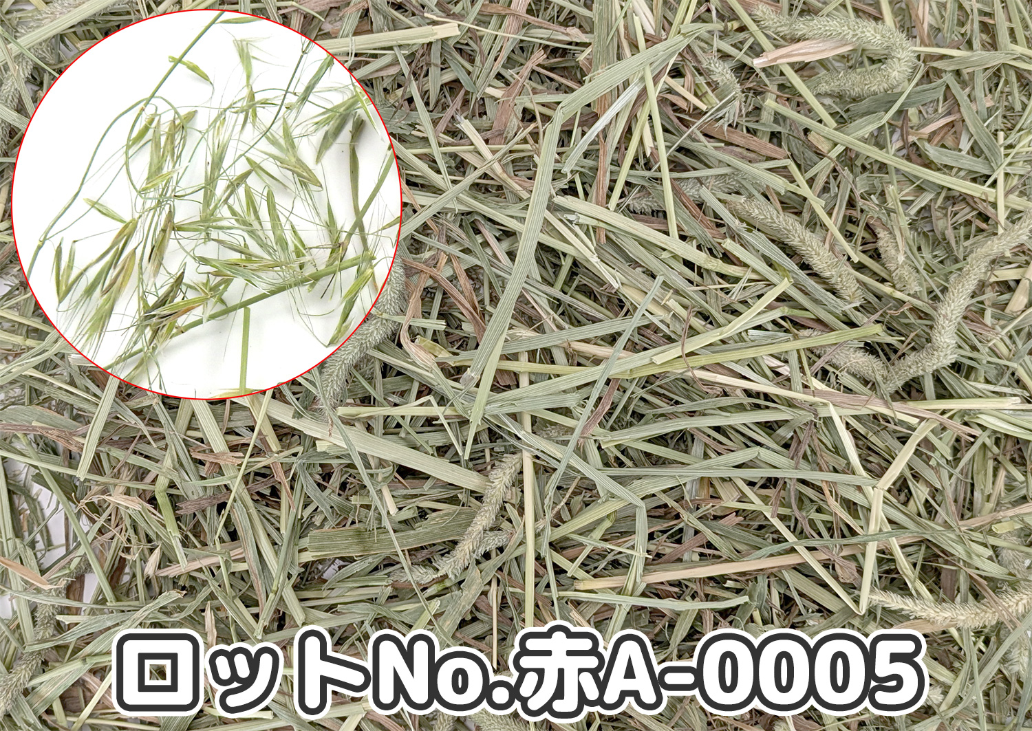 厳選スーパープレミアムチモシー1番刈り【赤A】ロットNo.赤A-0005の牧草状態