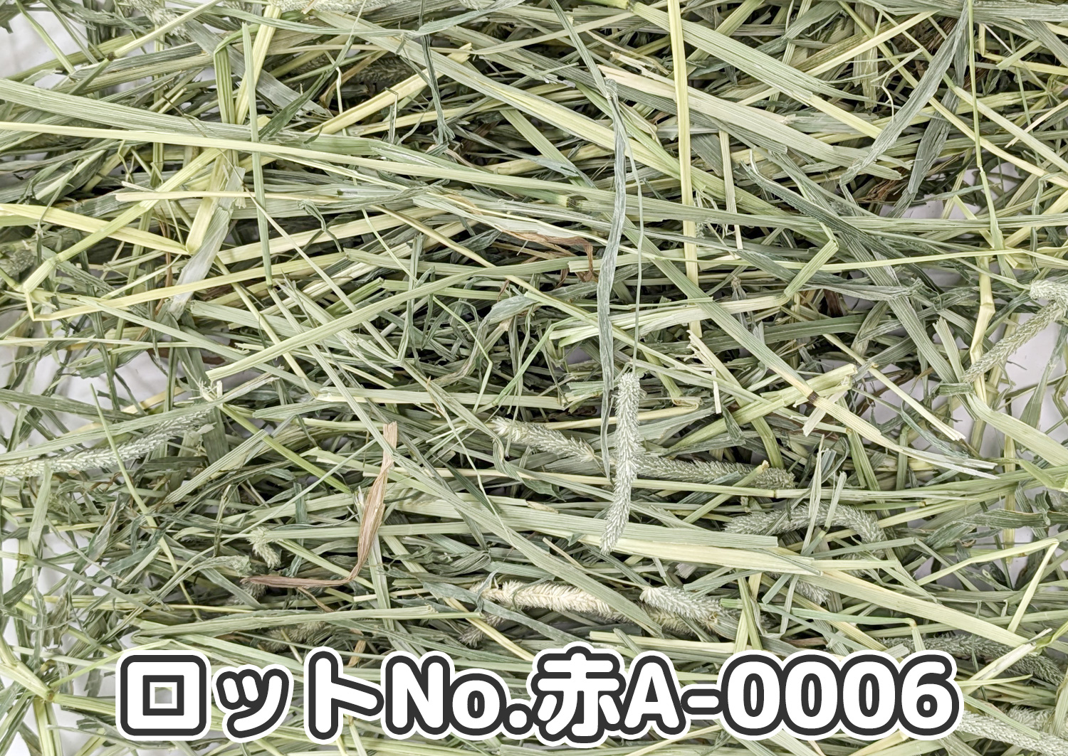 厳選スーパープレミアムチモシー1番刈り【赤A】ロットNo.赤A-0006の牧草状態