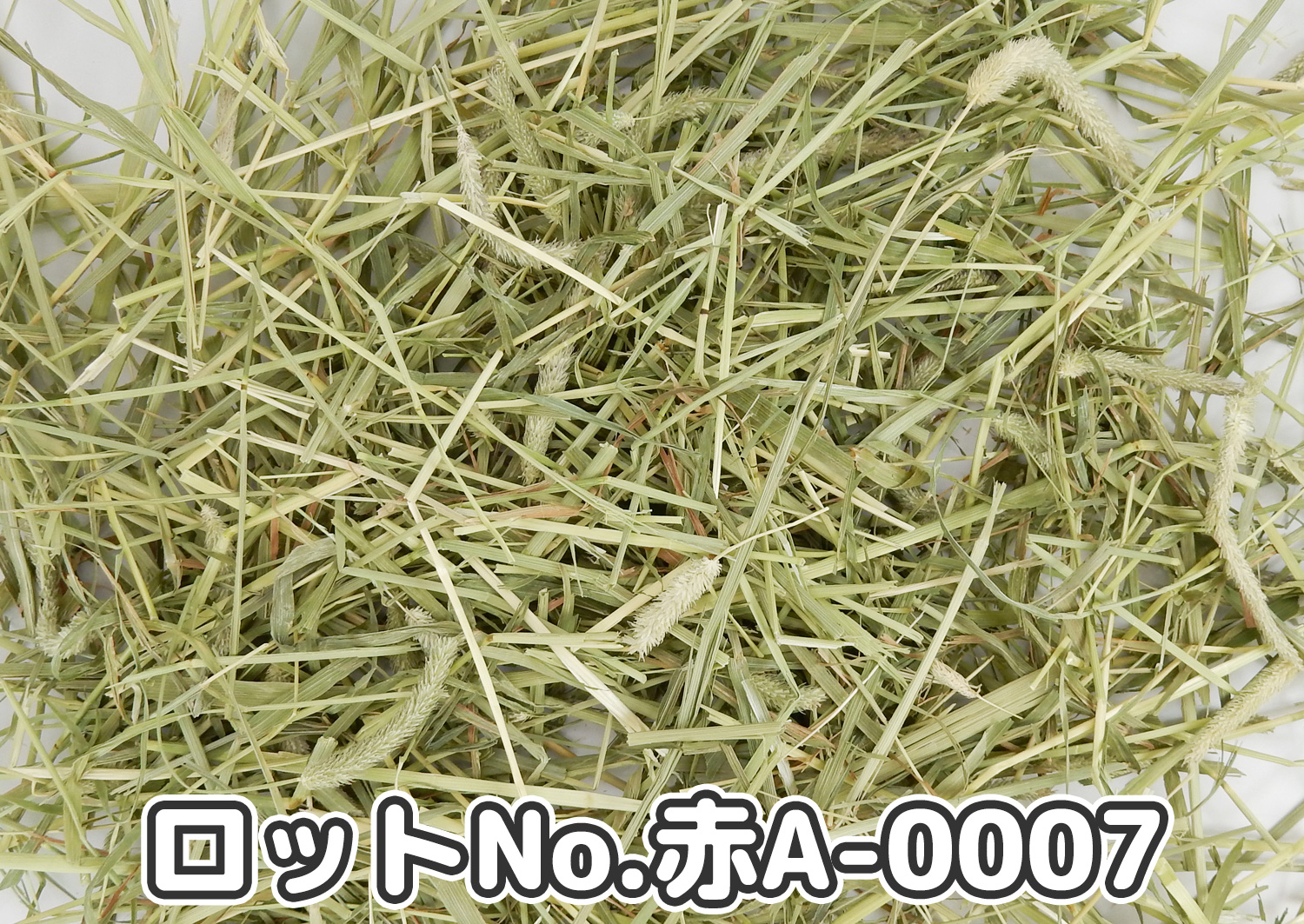 厳選スーパープレミアムチモシー1番刈り【赤A】ロットNo.赤A-0007の牧草状態