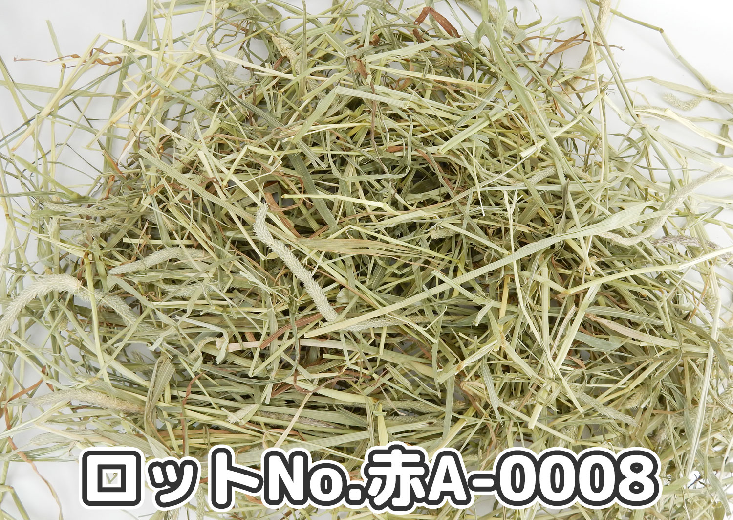 厳選スーパープレミアムチモシー1番刈り【赤A】ロットNo.赤A-0008の牧草状態