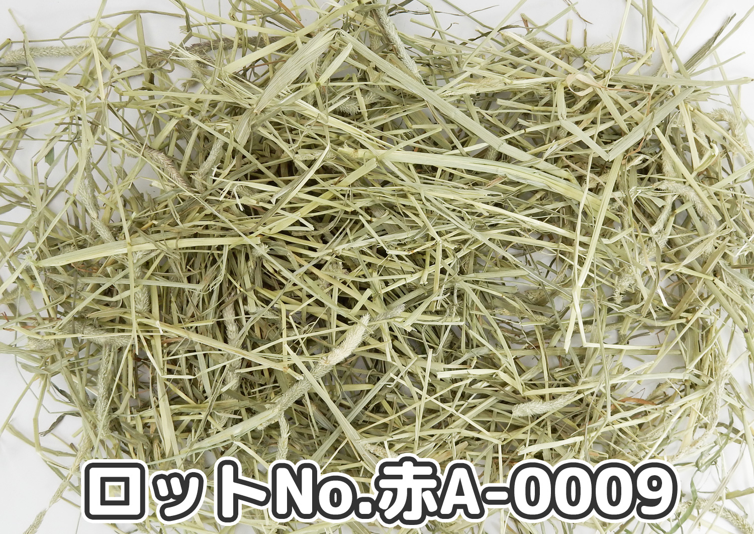 厳選スーパープレミアムチモシー1番刈り【赤A】ロットNo.赤A-0009の牧草状態