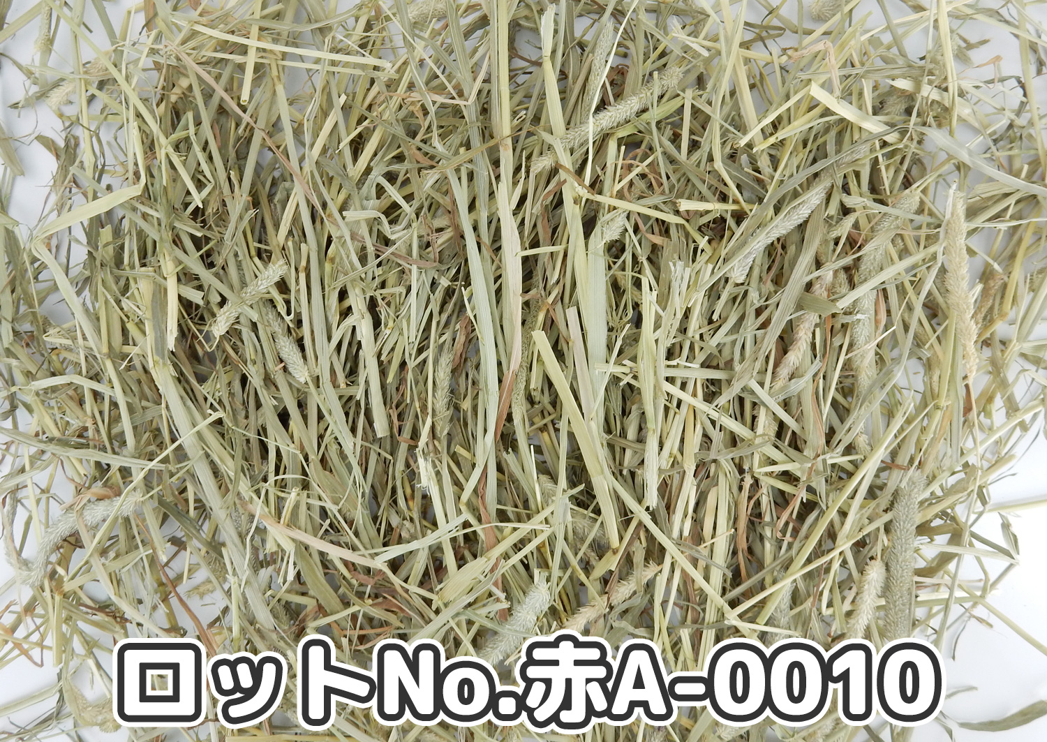 厳選スーパープレミアムチモシー1番刈り【赤A】ロットNo.赤A-0010の牧草状態