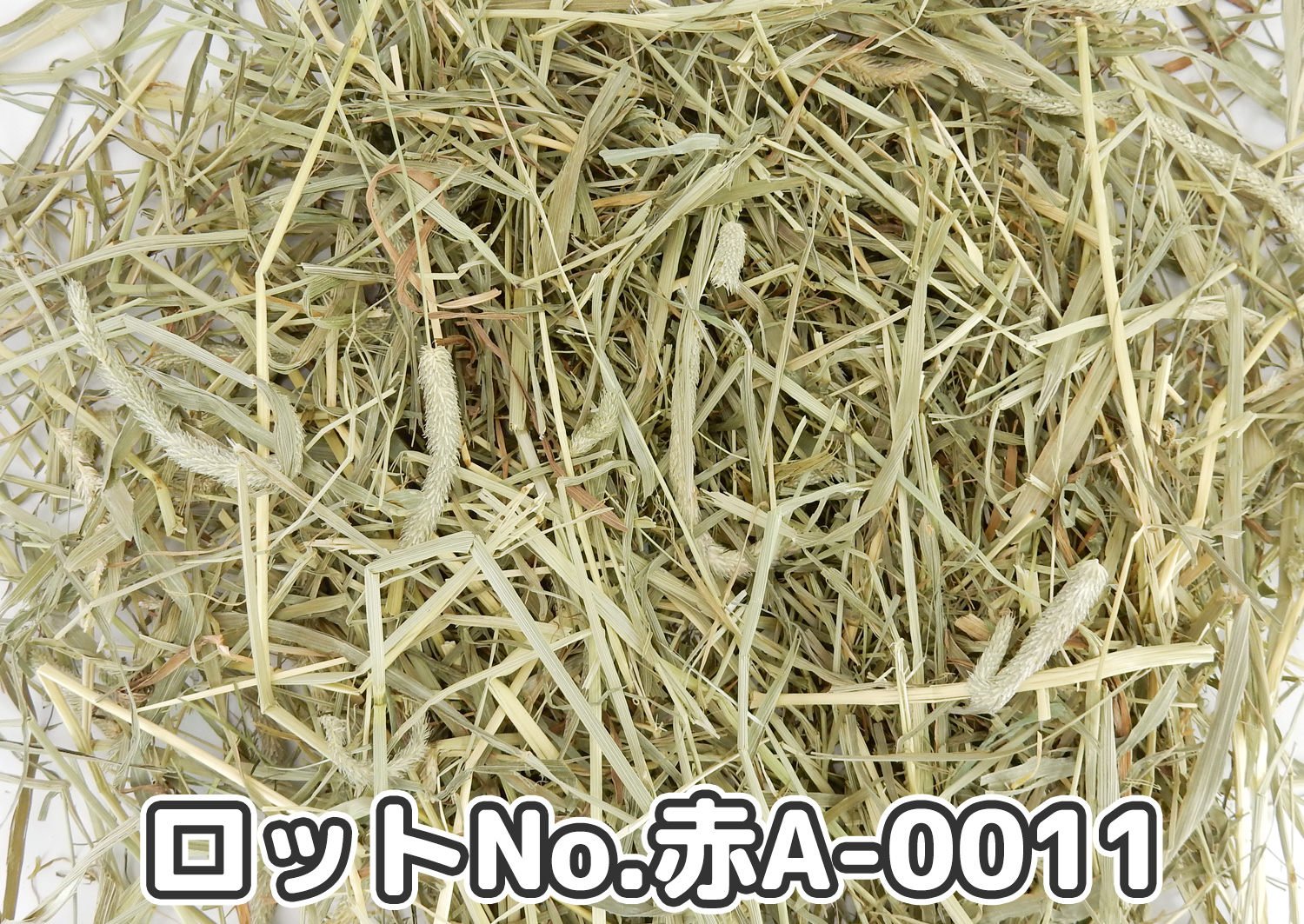 厳選スーパープレミアムチモシー1番刈り【赤A】ロットNo.赤A-0011の牧草状態