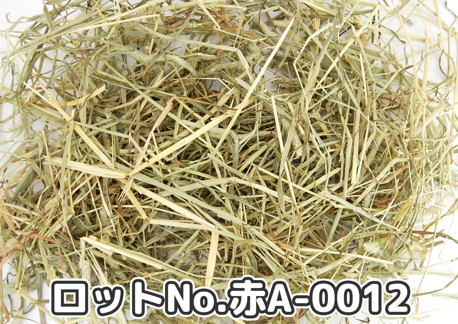 厳選スーパープレミアムチモシー1番刈り【赤A】ロットNo.赤A-0012の牧草状態