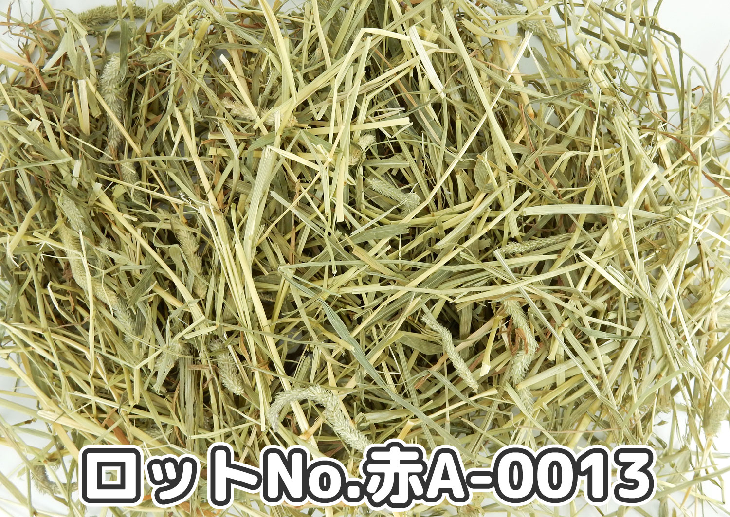 厳選スーパープレミアムチモシー1番刈り【赤A】ロットNo.赤A-0013の牧草状態