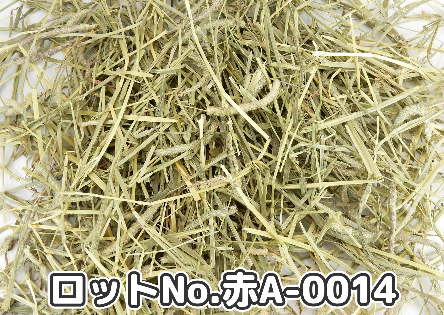 厳選スーパープレミアムチモシー1番刈り【赤A】ロットNo.赤A-0014の牧草状態