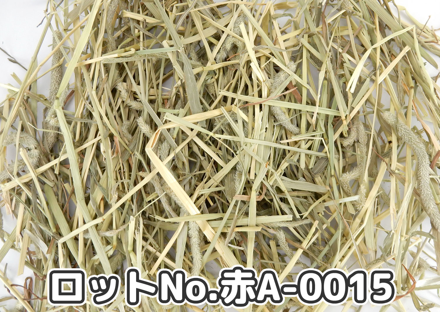 厳選スーパープレミアムチモシー1番刈り【赤A】ロットNo.赤A-0015の牧草状態
