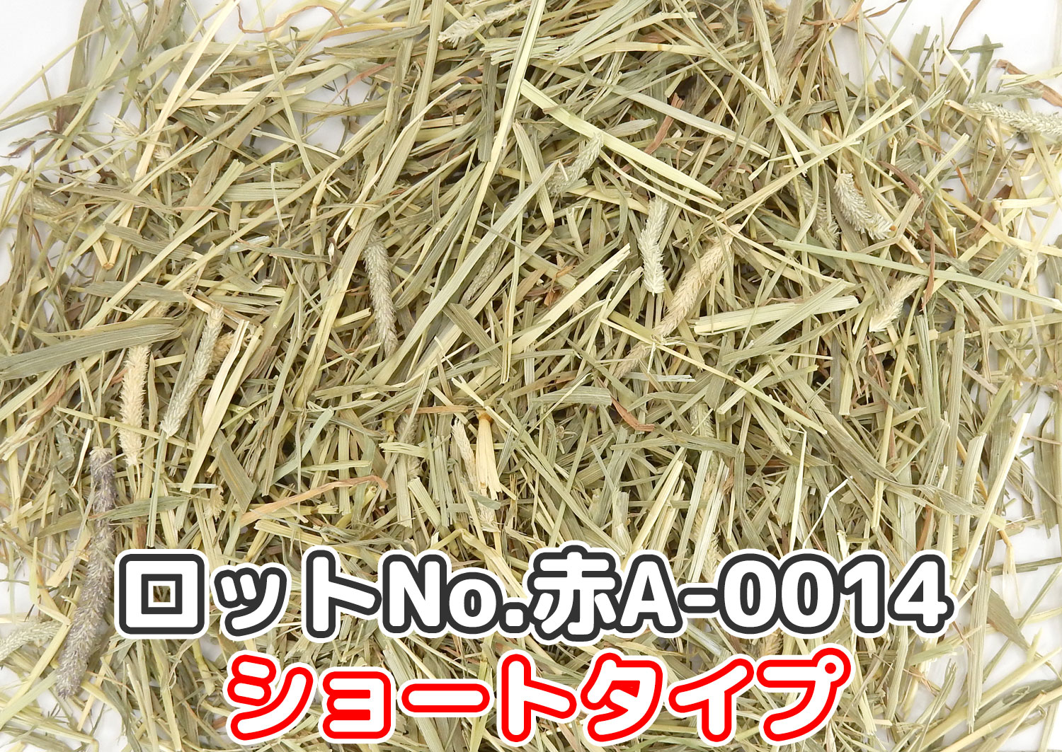 厳選スーパープレミアムチモシー1番刈り【赤A】ロットNo.赤A-0014ショートの牧草状態