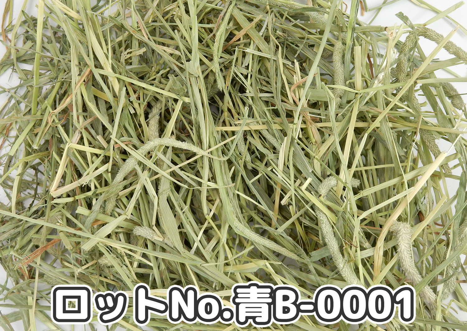 厳選スーパープレミアムチモシー1番刈り ミディアムプレス ワシントン州【青B】ロットNo.青B-0001の牧草状態