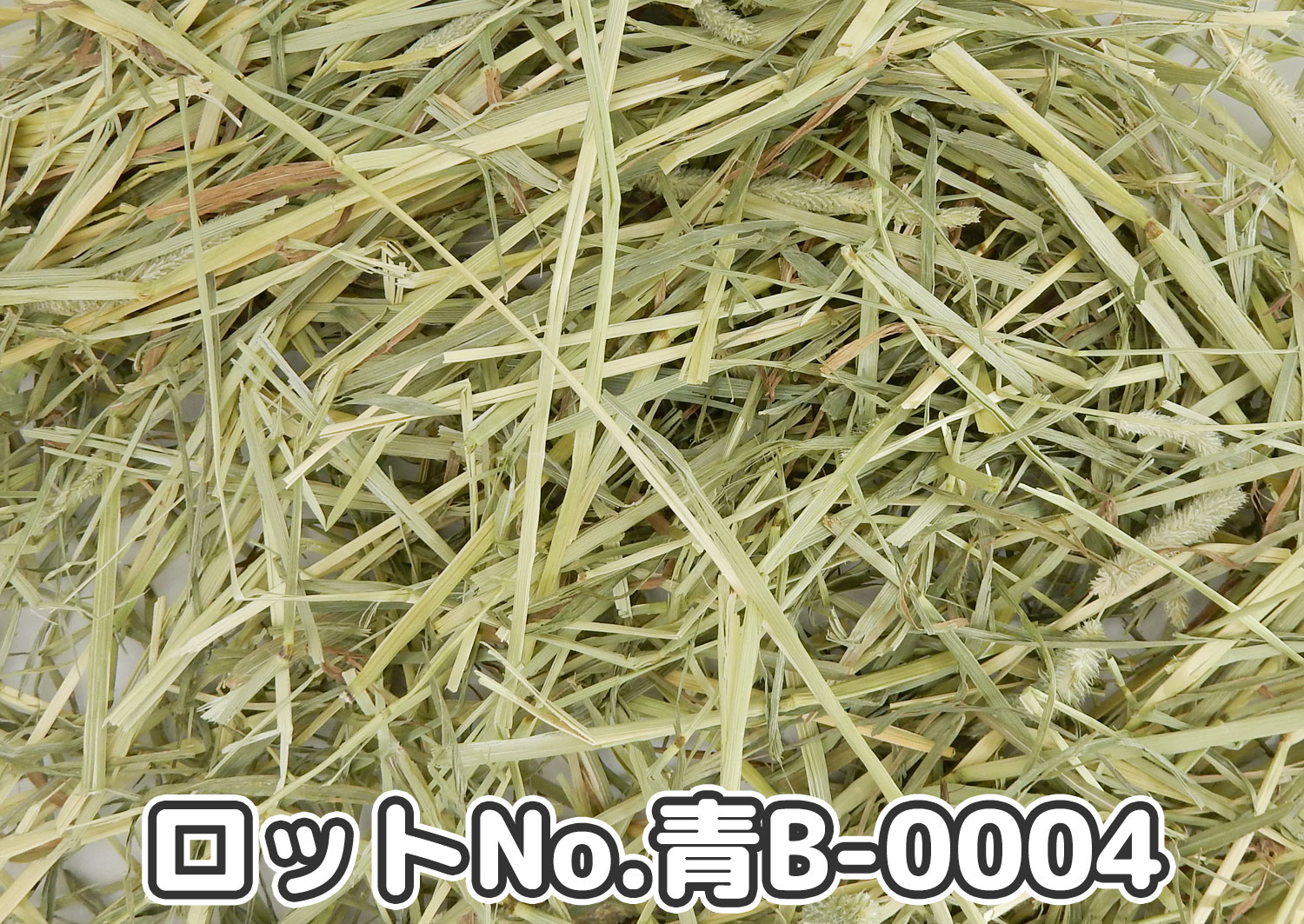 厳選スーパープレミアムチモシー1番刈り ミディアムプレス ワシントン州【青B】ロットNo.青B-0004の牧草状態