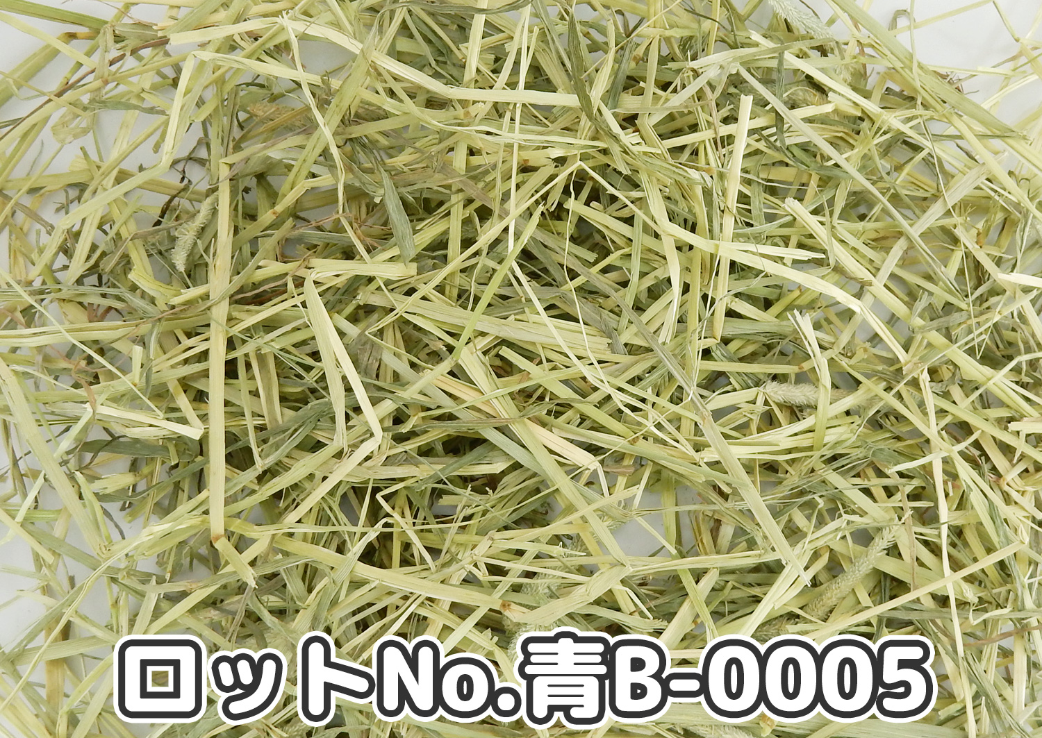 厳選スーパープレミアムチモシー1番刈り ミディアムプレス ワシントン州【青B】ロットNo.青B-0005の牧草状態