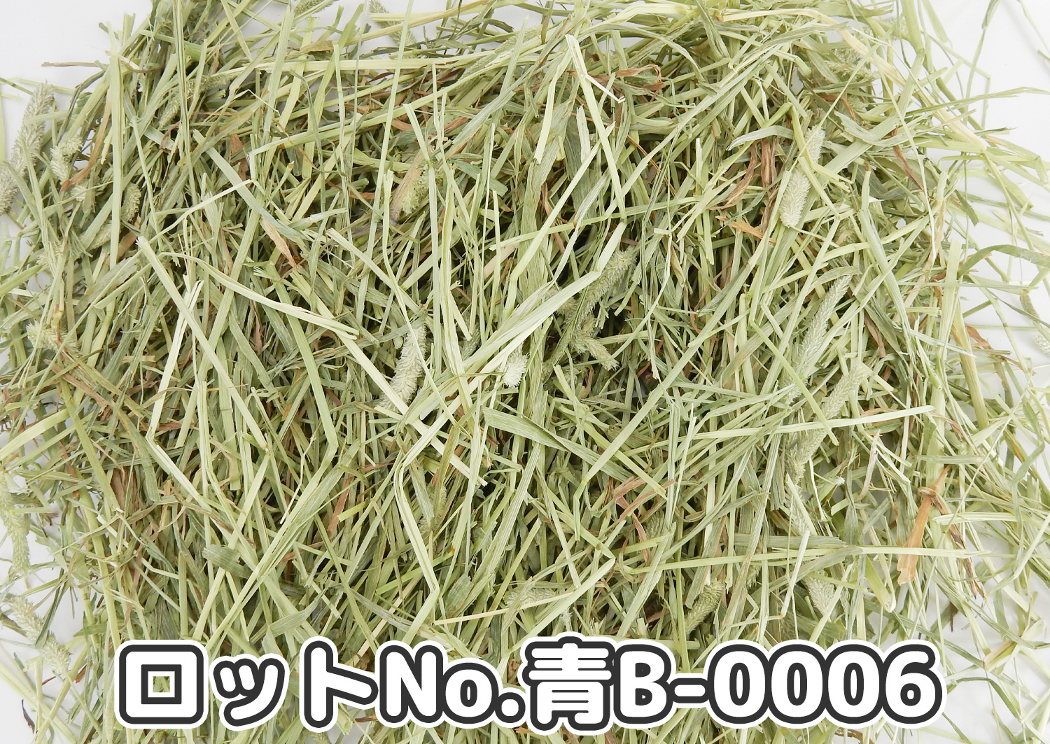 厳選スーパープレミアムチモシー1番刈り ミディアムプレス ワシントン州【青B】ロットNo.青B-0006の牧草状態