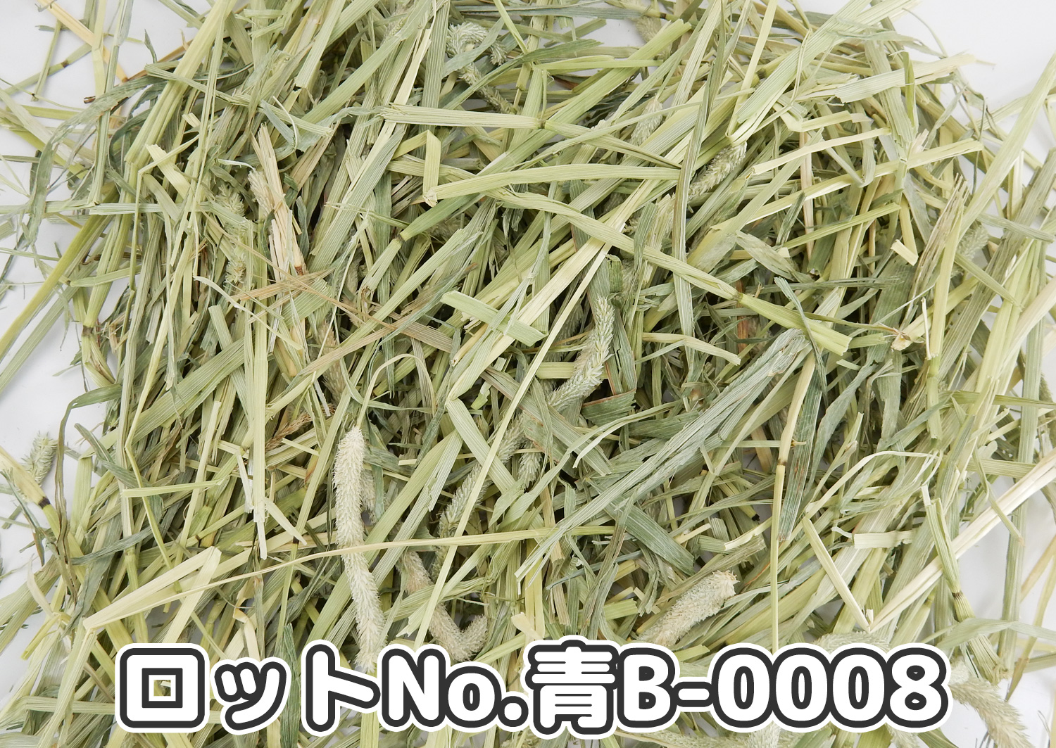 牧草の粉が少ない』 USプレミアムチモシー1番刈りミディアムプレス